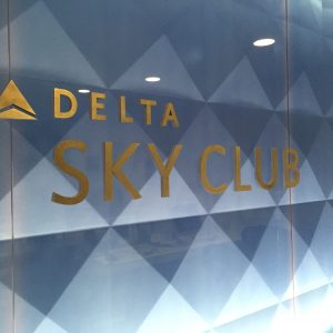 Delta Sky Lounge - Reception